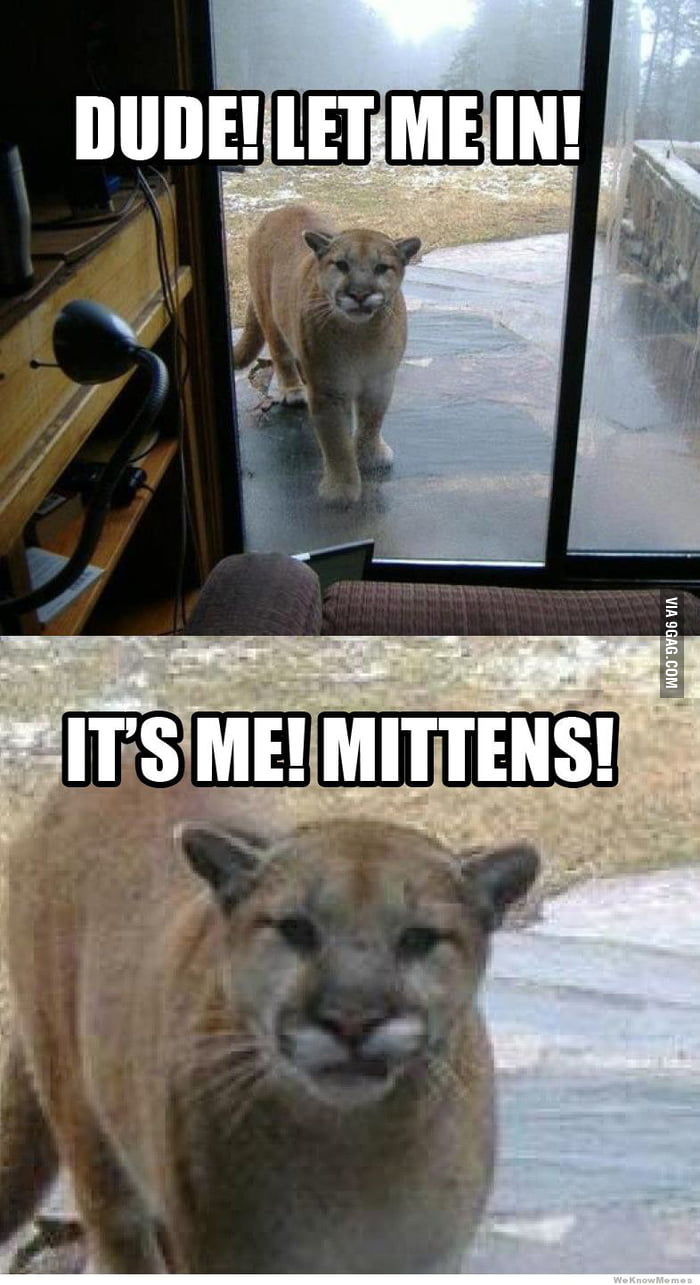 Don t You Recognize Me 9GAG Don t You Recognize Me 9GAG