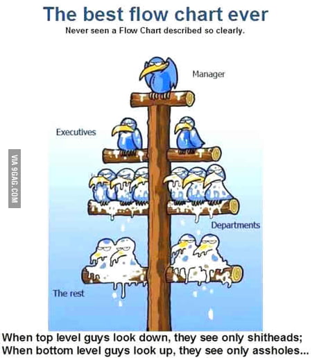 Corporate Flow Chart