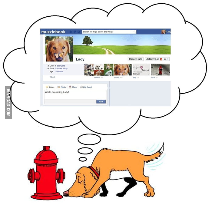 Dogs' Social network 9GAG