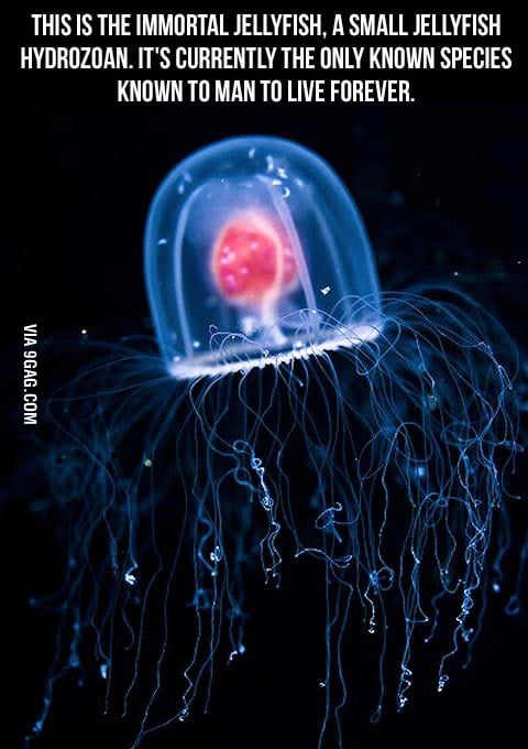 I'm jelly - 9GAG