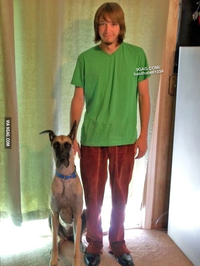 Real life Shaggy and Scooby Doo - 9GAG