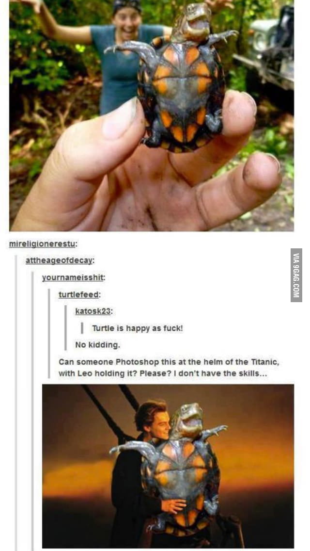 Turtle happy as f**k - 9GAG