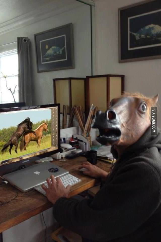 Horse Watching Porn - Mum caught me watching porn (horse edition) - 9GAG