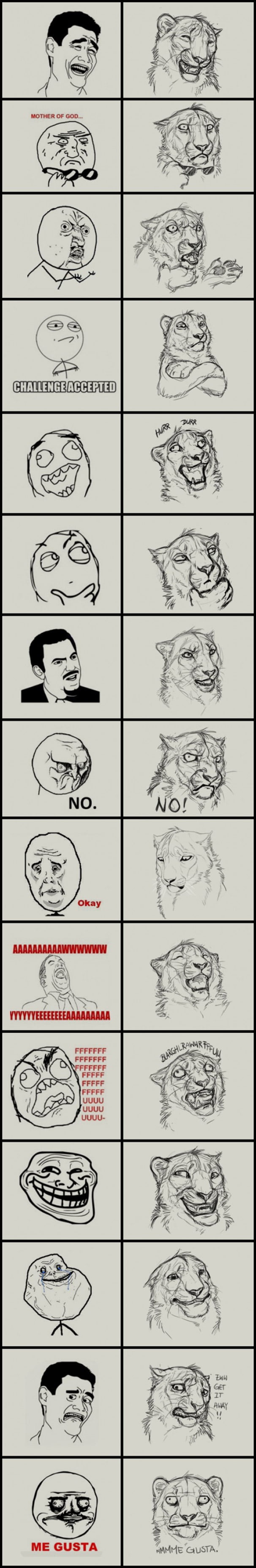 Jungle memes - 9GAG