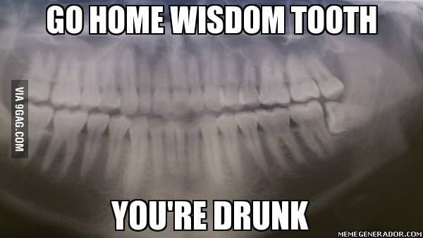 Go Home Wisdom Tooth Gag