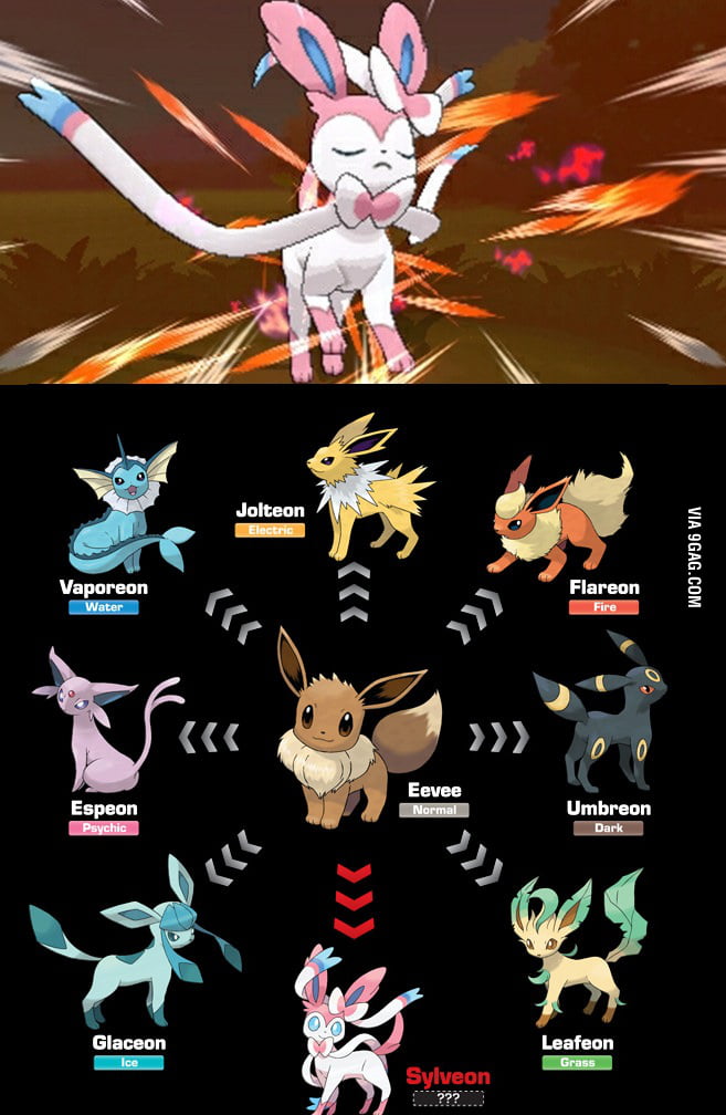 Meet New Eevee Evolution Sylveon 9gag