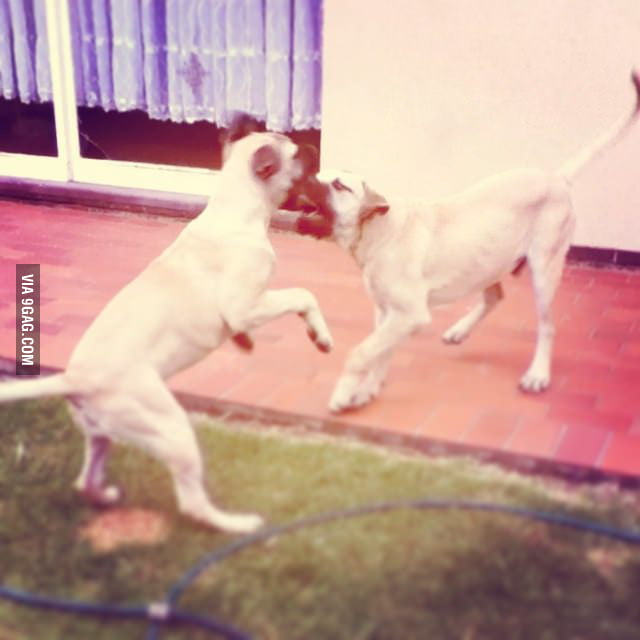This is war - 9GAG