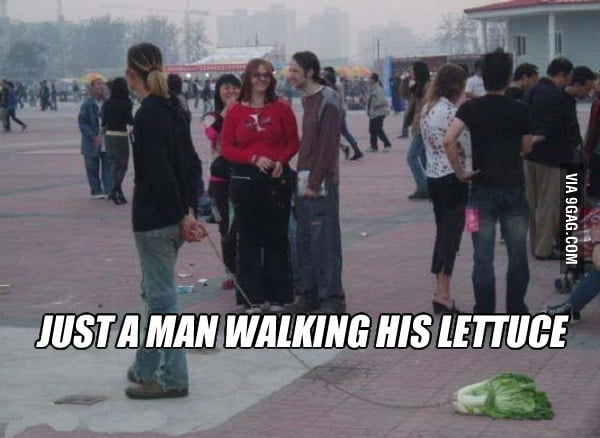 Walk my dog? Nah.. - 9GAG