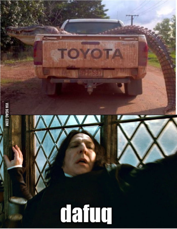 Just a normal day and then.. - 9GAG