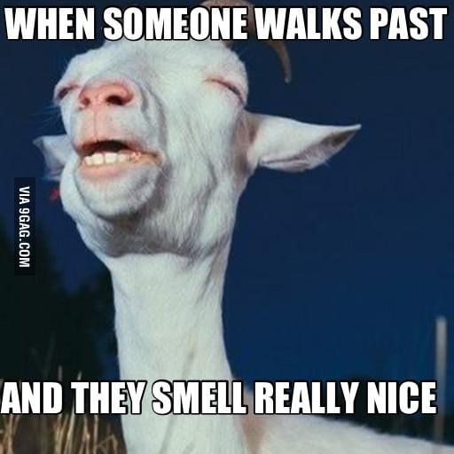 That Smell 9gag