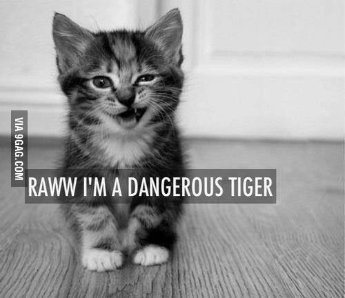 When I'm trying to be mad - 9GAG