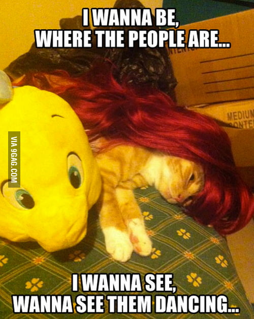 Flounder better watch out... 9GAG