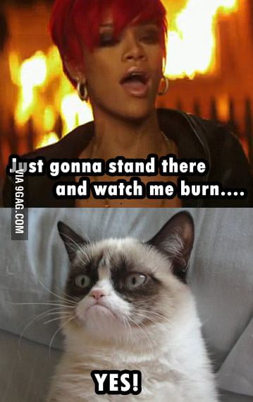 Grumpy cat on Rihanna - 9GAG