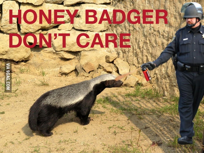 Honey Badger Don't Care 9GAG