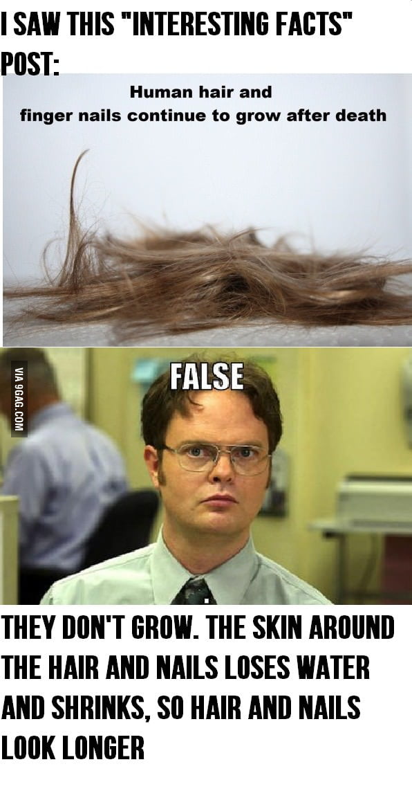Hair and nails don't grow after death! 9GAG