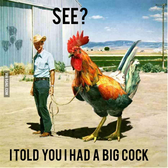 I Told You I Had A Big Cock 9gag