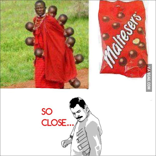 Maltesers .. so close - 9GAG