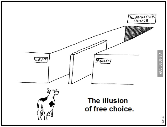 The Illusion of free choice - 9GAG