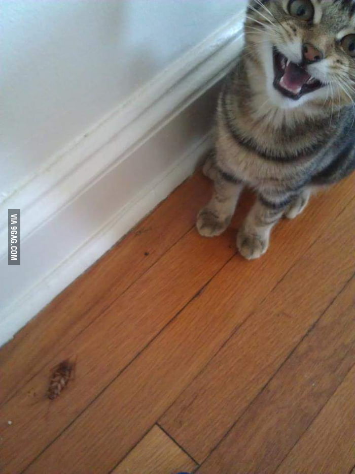 so proud of himself