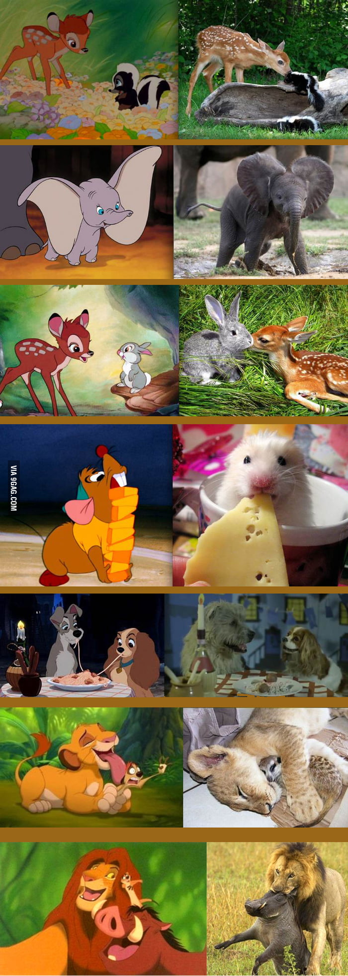 Disney Vs Reality GAG