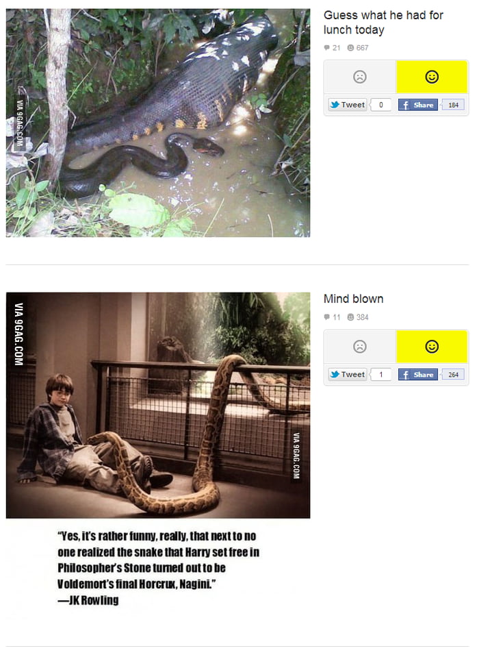 OH NO HARRY :( - 9GAG