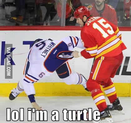 A turtle - 9GAG