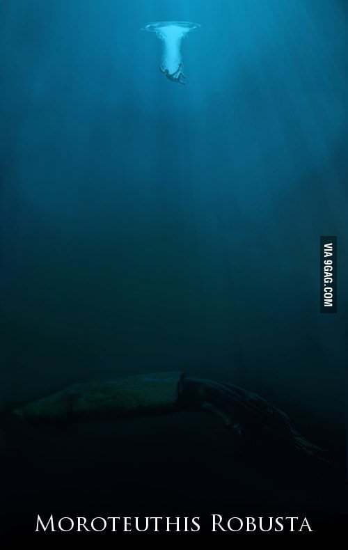 THIS Is Why I m Scared Of The Ocean 9GAG