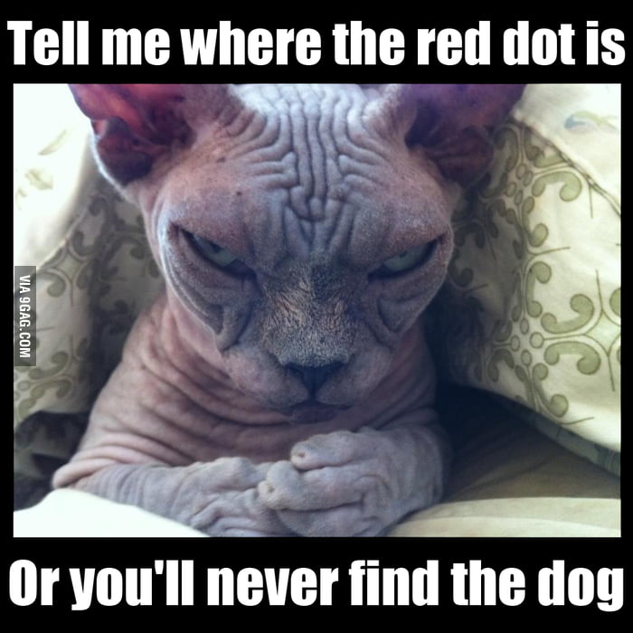 Sinister Cat strikes - 9GAG