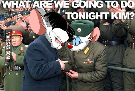 The same thing we do every night pinky - 9GAG