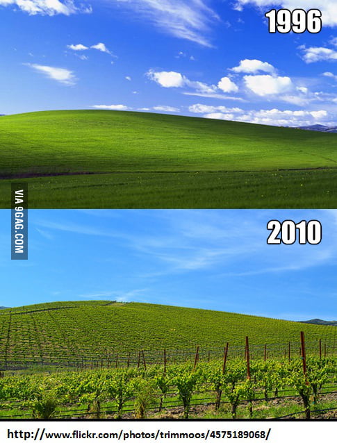 Bliss Image From Windows Xp 9gag