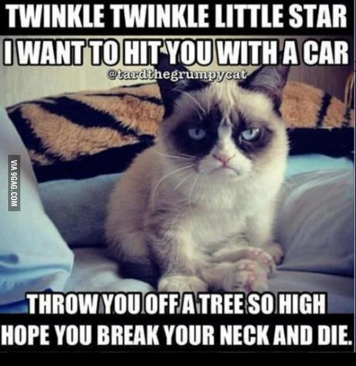 Grumpy Cat Strikes Again Gag