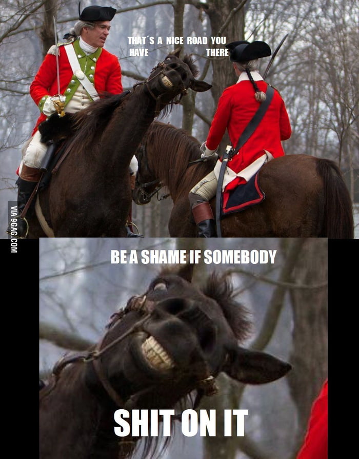 horses-9gag