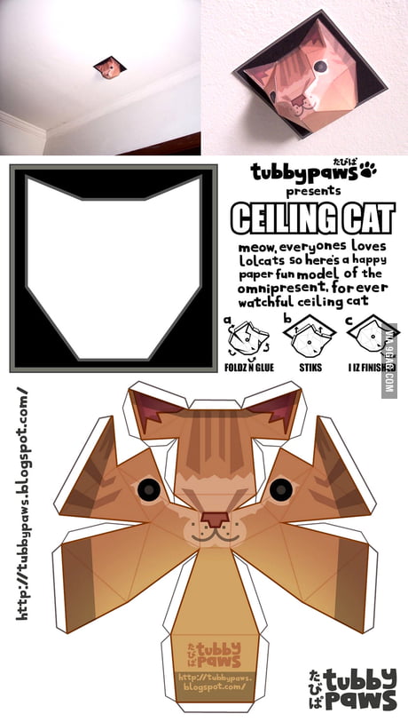 Paper Ceiling Cat Diy 9gag