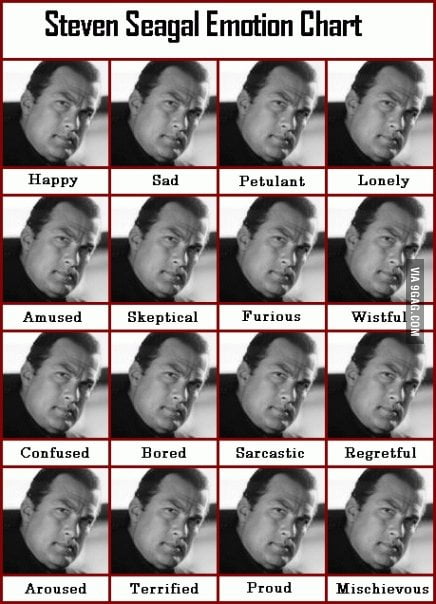 Steven Seagal Emotion Chart Poster