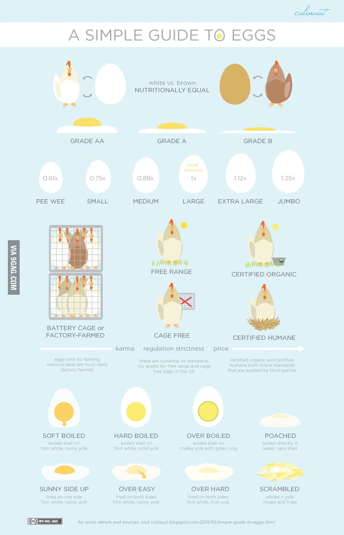 A simple guide to eggs - 9GAG