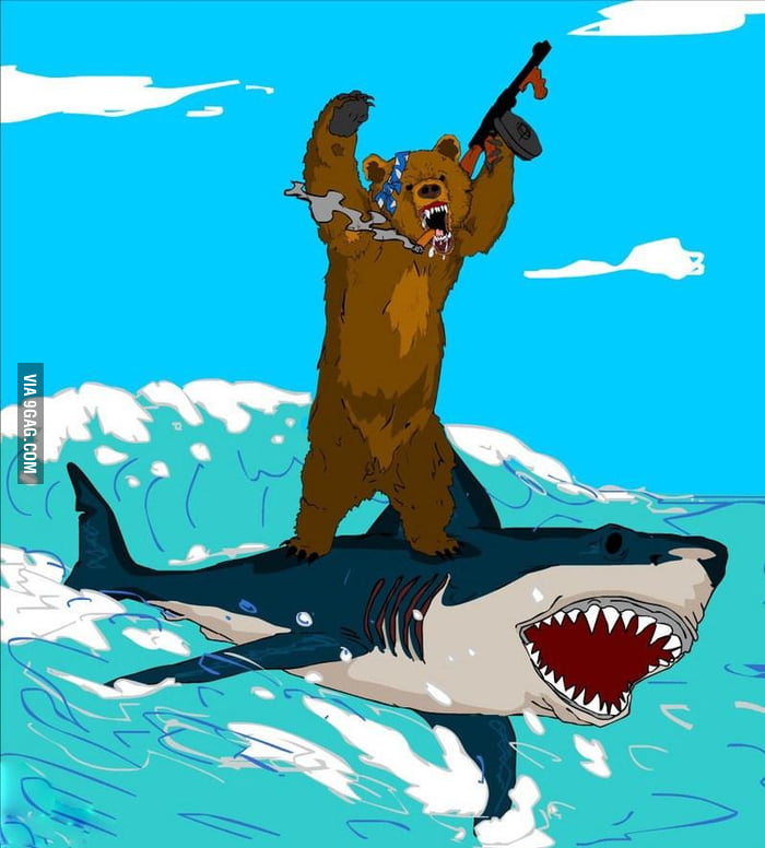 bear riding shark