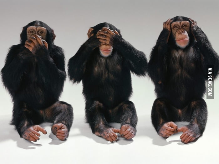 No Mouth. No Eyes. No Ears. - 9GAG