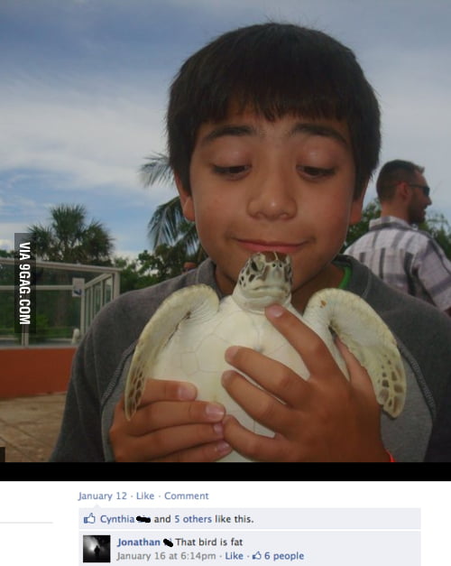That bird is fat