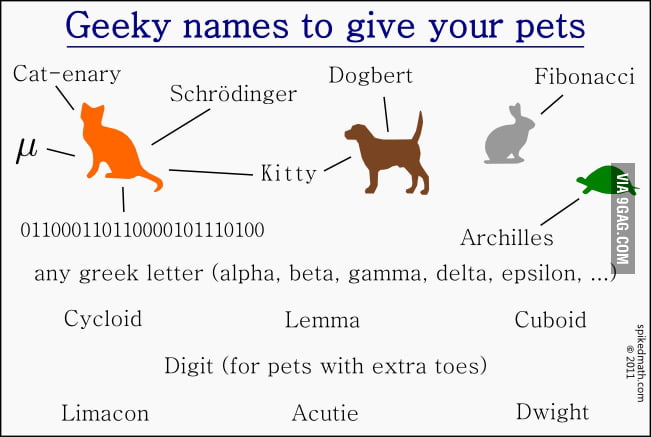 geeky-pet-names-9gag