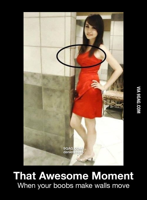 Must Touch Them - 9GAG