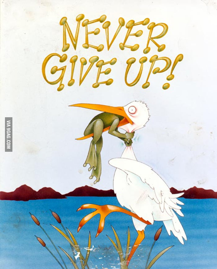 Never give up картинка лягушка и цапля