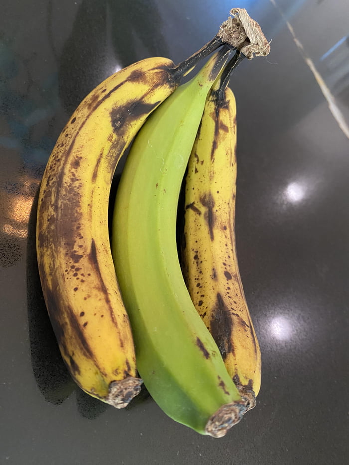 Immortal Banana Day 14 9GAG
