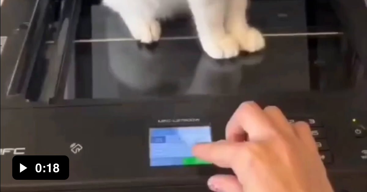 A serious Cat scan... - 9GAG