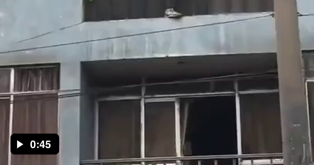 Peru: Homeless Man Saves Dog from Fire ( He Ended Up Saving All 25 ...
