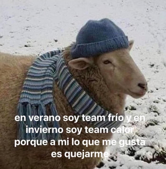 Y el chisme…y el pan dulce 9GAG