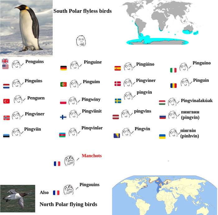 Penguins In Other Languages Meme 9GAG
