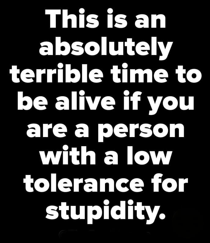 i-mean-most-days-i-can-barely-stand-my-own-stupidity-but-then-you-run