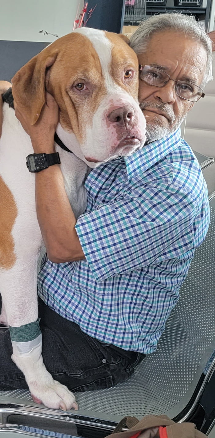 Unfortunately my dog Zeus was diagnosed with Chronic Kidney Failure and