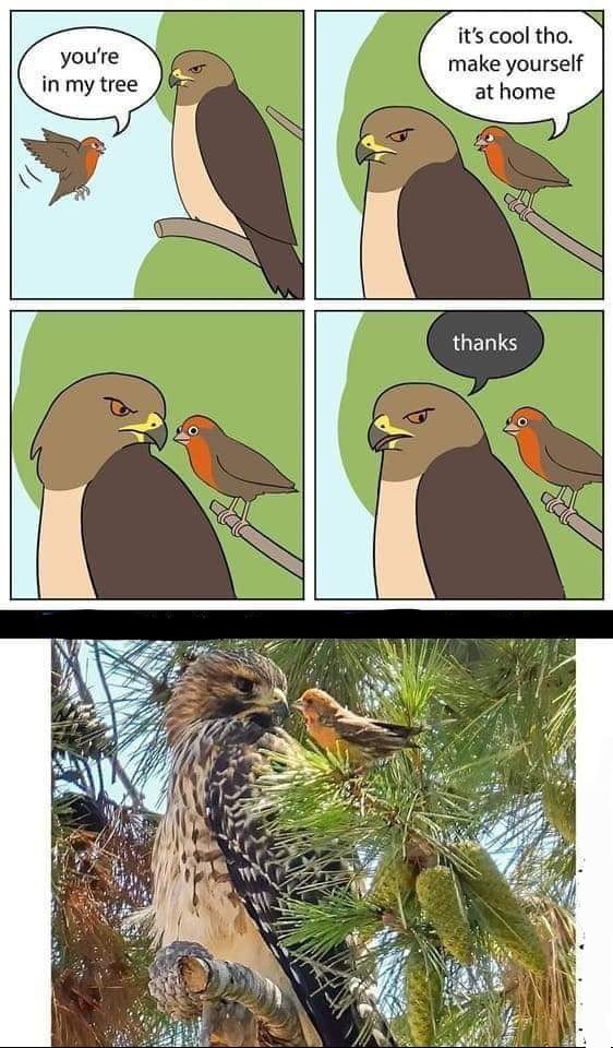 No Problem Sir Take Your Time 9GAG
