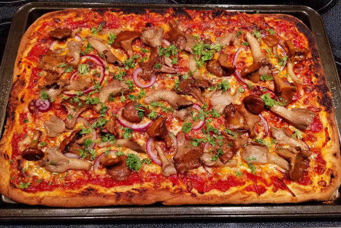 Mushroom Pizza 9gag 6693